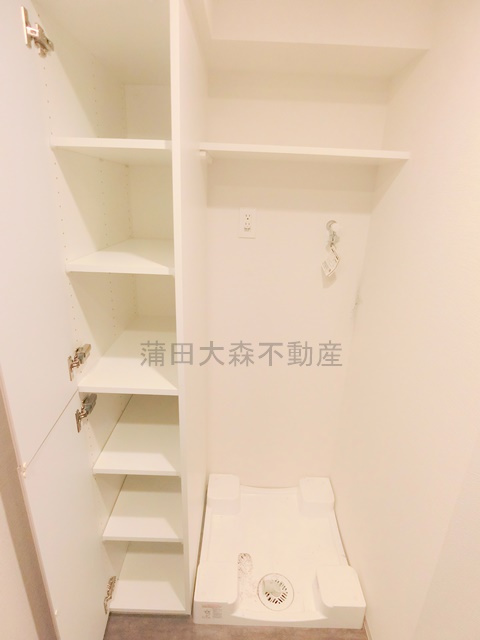 GRAN　PASEO大森の設備|洗面所収納と室内洗濯機置き場