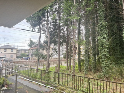 【展望】 | ハイムベスタ