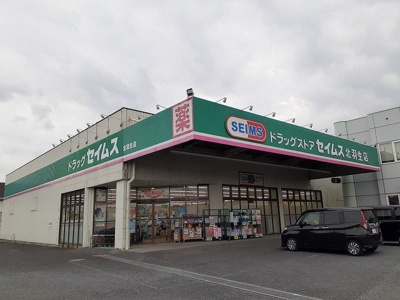 【周辺】 | シェル　クレール　Ⅰ | ドラッグストアセイムス北羽生店まで650m