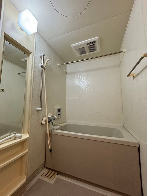 大阪市中央区博労町４丁目の賃貸マンションの浴室