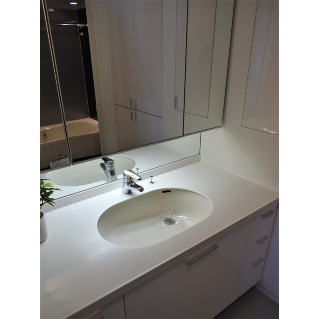 レキシントンスクエア白金高輪の洗面所