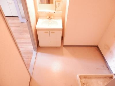 メゾン・ド・ステラの洗面所