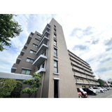 パン・リーヴルの画像