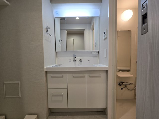 ザ・レジデンスパーク栄|名古屋市の賃貸ならMy賃貸の洗面所|ザ・レジデンスパーク栄