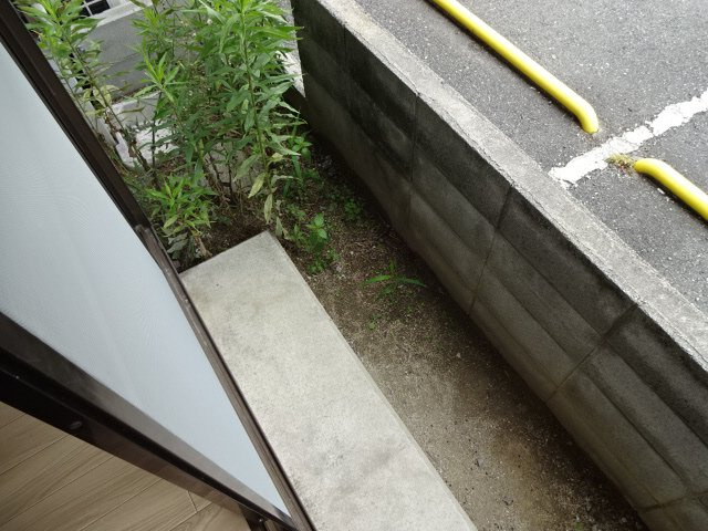 フレンドめがの庭
