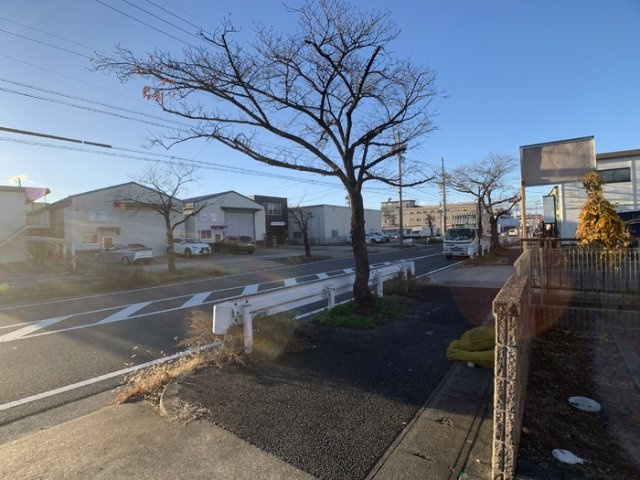 ベリー・アニマーレの周辺