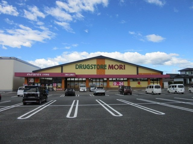 エンジェル・ティアーズ　Ⅱの周辺|ドラッグストアモリ八代沖店まで1200m