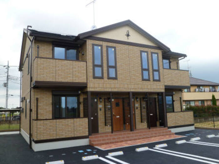 エバーグリーン Ｂ