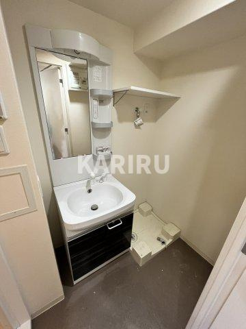 Live Flat桜宮の洗面所|同物件別部屋の写真です