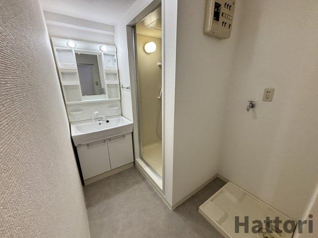 エクセレントトーシン東豊中の独立洗面台