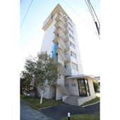 ガラクシアトーレの画像