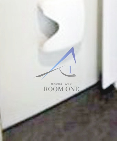 ハーモニーテラス大山金井町Ⅱの玄関|玄関です。