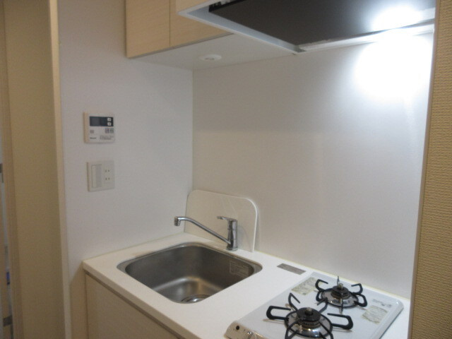 アルテシモノルガのキッチン