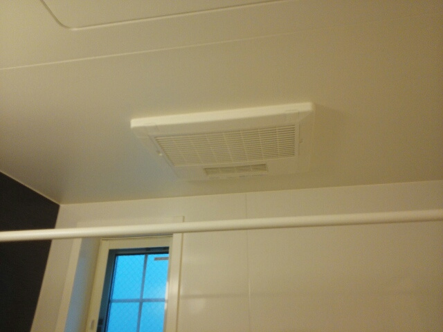 プルメリアのその他