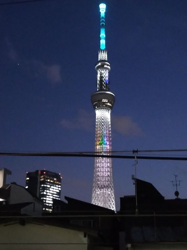 曳舟ヴィレッヂＡ館の展望