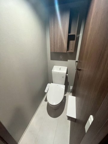 メゾン・ド・プティエル今津のトイレ