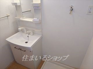広島市安佐北区大林２丁目のアパートの洗面所
