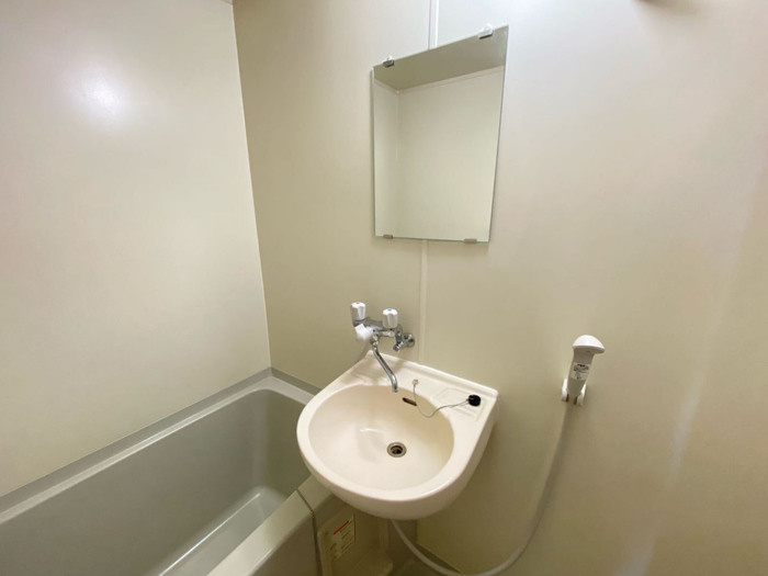 ハイムおもだかの洗面所