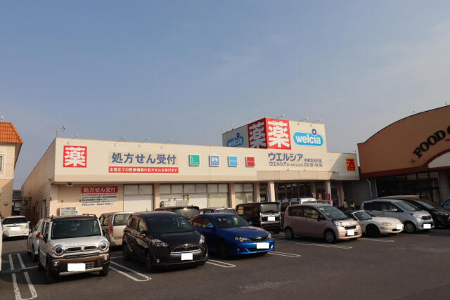 ブルーミングガーデン宇都宮市雀の宮７丁目１期　新築一戸建ての周辺|ウェルシア五代店まで402m