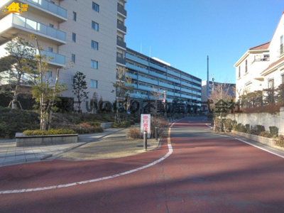 【その他】 | デュオヒルズ西大宮ザ・グランテラス | 前面道路は通り抜けが少なく落ち着いた環境です。