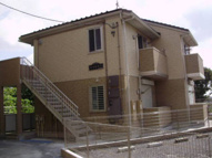 シャルマンの画像