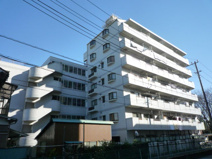 ＣＥＤＡＲ　ＴＷＩＮの画像