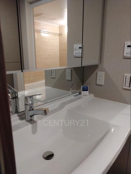 デュオヒルズ伊勢崎の独立洗面台