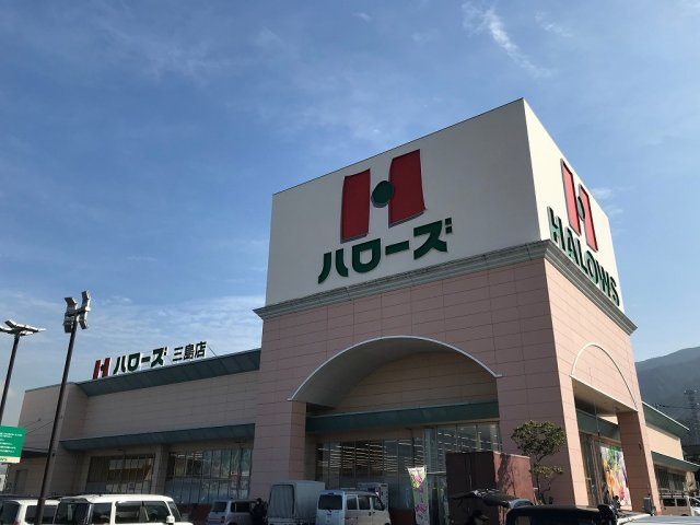 レオネクストシャムロックの周辺