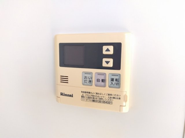 レオネクストシャムロックのその他