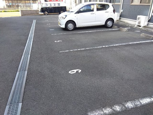 レオネクストシャムロックのその他