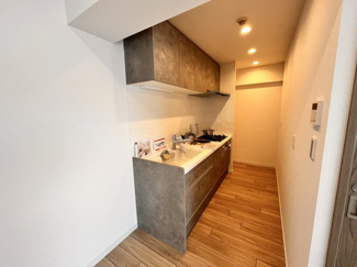 【キッチン】 | 日神パレステージ戸田 | 食洗器、浄水器付きで、高級感のあるシステムキッチン。吊戸棚もついているので、収納には便利です。