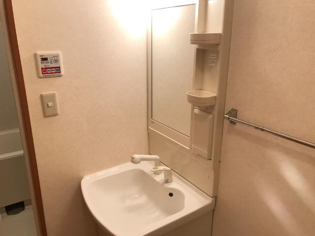 フォレストヴィラⅡの独立洗面台|洗面