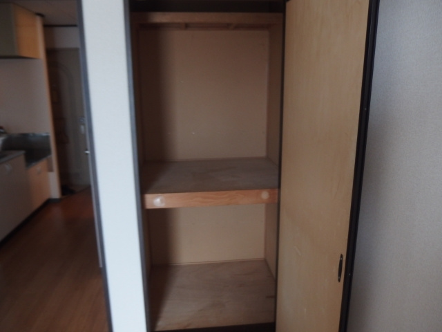 竜美ヶ丘ホームズの収納