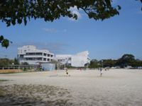 昭和小学校まで220ｍ