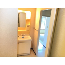 スペースが確保できる洗面所です