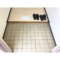 落ち着いた玄関です