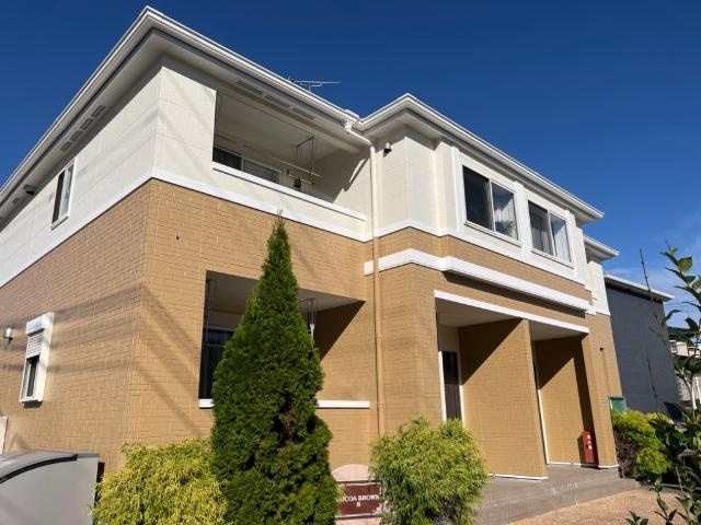 ココア　ブラウンB