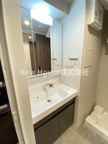 ロイジェント南池袋の洗面所