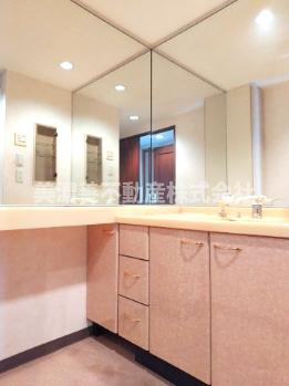 ６６２０１　藤和シティホームズ梅林の洗面所