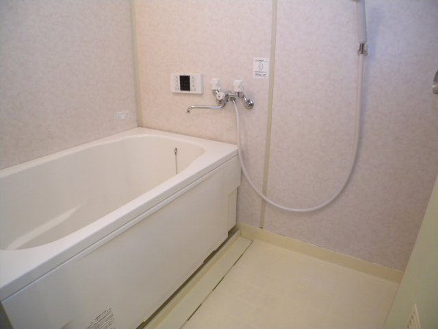 ルモンクレール枝吉の浴室