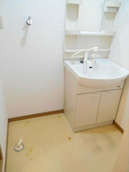 メゾンフルールの洗面所