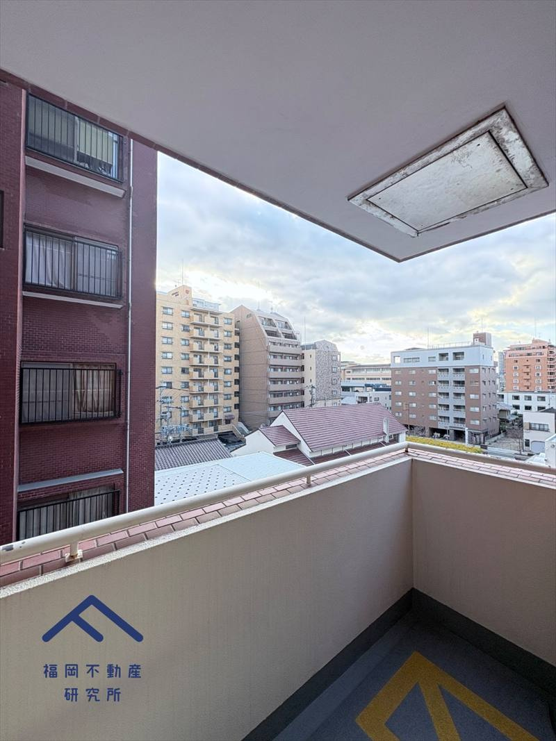 ライオンズマンション西公園の展望