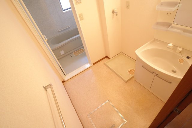 ルミエール南生駒Ⅲの洗面所