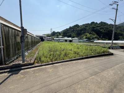 【外観】 | （ご成約）売地　いの町枝川　 | 東側より撮影