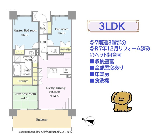 【間取り】 | こちらは全部屋に窓あり◎採光を取り込み、風通し良好な３LDKです♪
R７年１２月リフォーム済みで室内キレイです☆