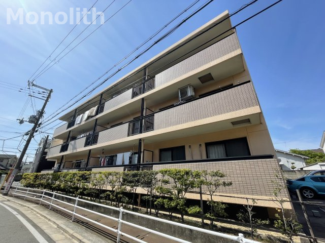 タボロッツァはごろも