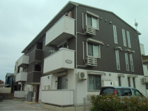 プラシードの画像