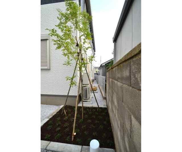 メゾンサクラのその他