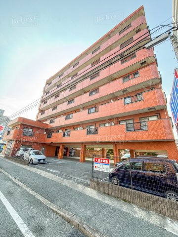 インポート久留米ルビーⅢ