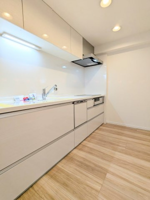 【展望】 | ミオカステーロ入谷